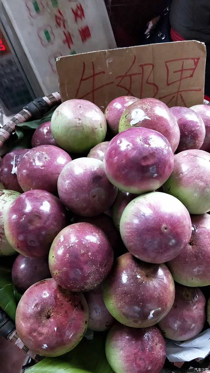 全国自驾游第四十四站广西东兴口岸游记