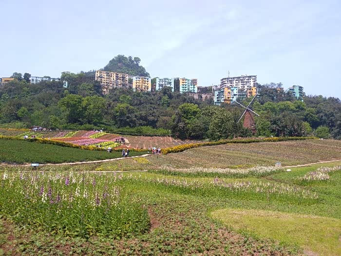 来来来花天酒地泸州花田酒地打望