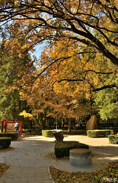 北京金秋的華彩樂章 —— 地壇公園銀杏大道