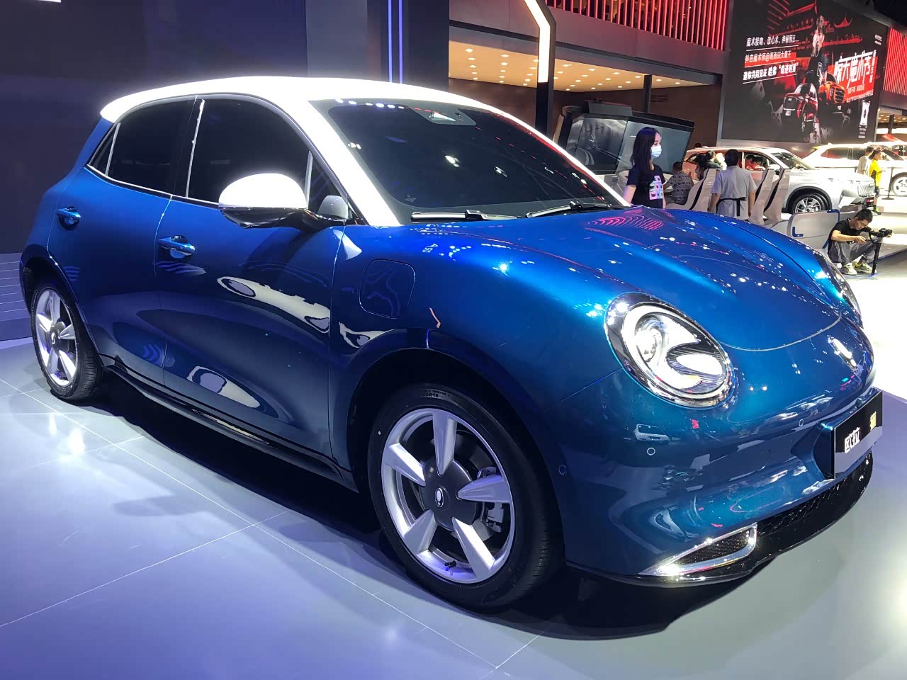 欧拉猫系列又添一员,这次是()猫, 具体名字未 公布