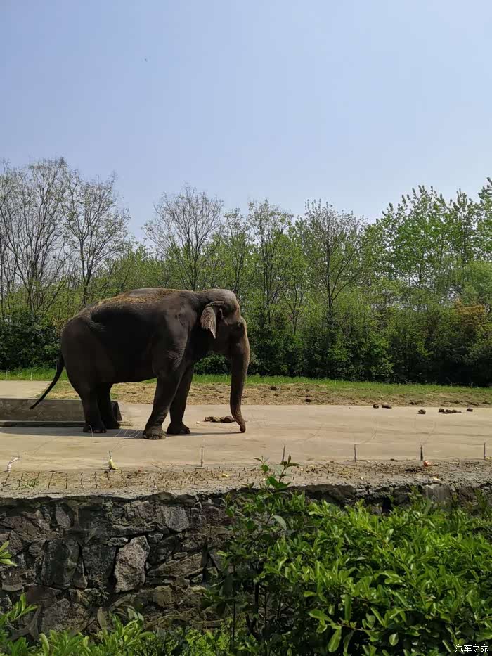 远离城市的喧闹,大蜀山野生动物园半日游!