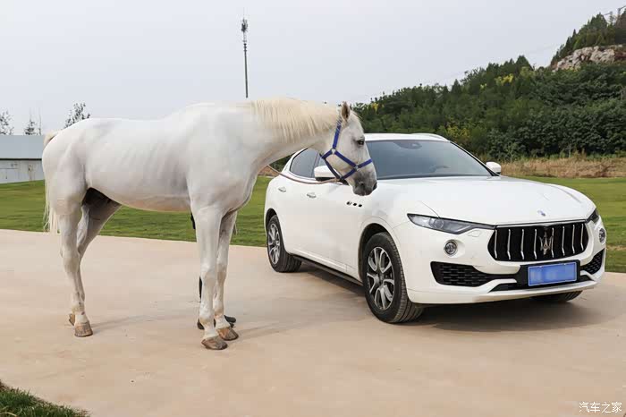 光车骏马驰风骋雨我与我的座驾玛莎拉蒂suvlevante