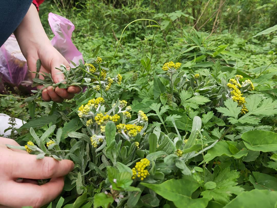 谷雨时节,携妻回乡,寻觅儿时的味道