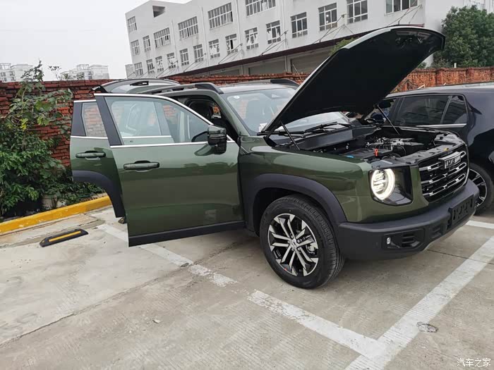 【图】边牧,军绿,到底好不好看,没看到现车,好纠结～_哈弗大狗论坛