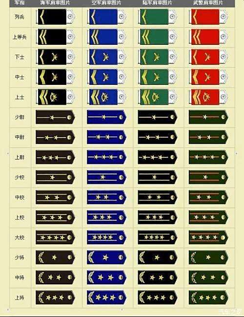 士官军衔图标图片