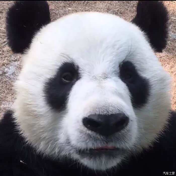 【图】18年下半年几月买clubman价格会比较便