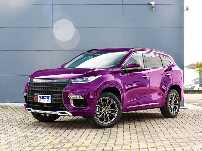 【图】自娱自乐改色_星途tx论坛_汽车之家论坛