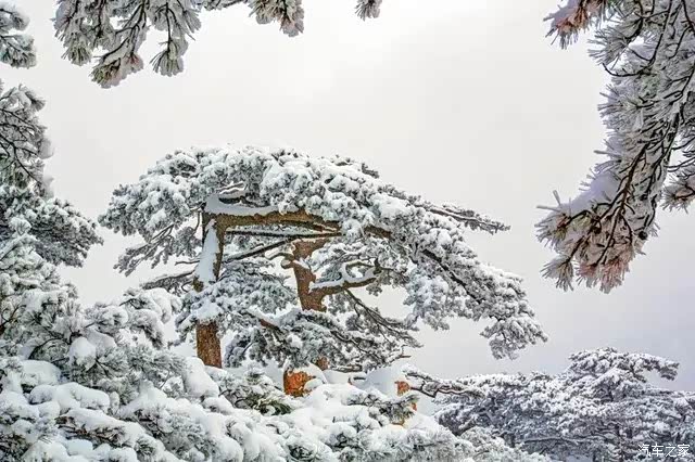 泰山一下雪就成了五岳独尊.