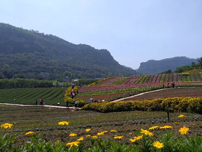 来来来花天酒地泸州花田酒地打望