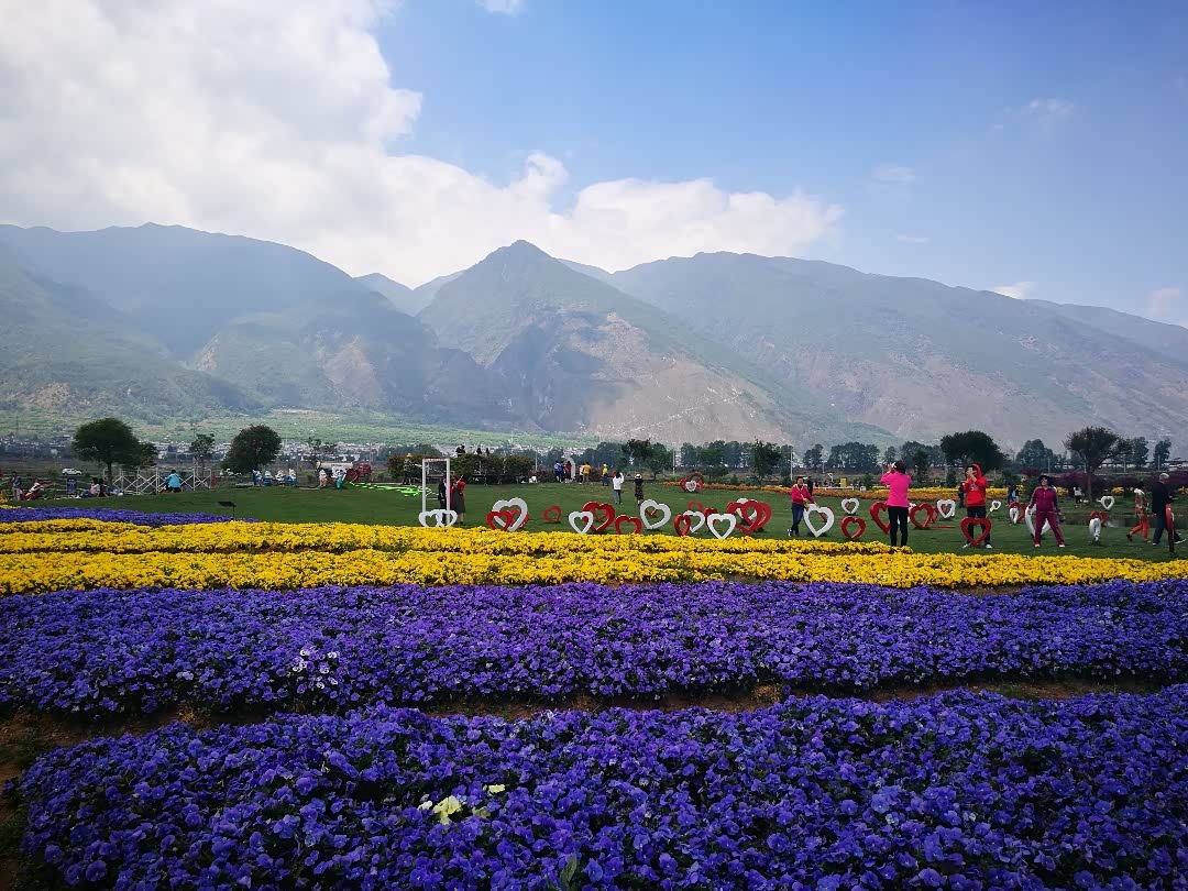 【图文】云南大理花语牧场(一)