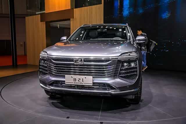 b40的家族式脸谱具有丰富表现力_众泰b40论坛_手机汽车之家