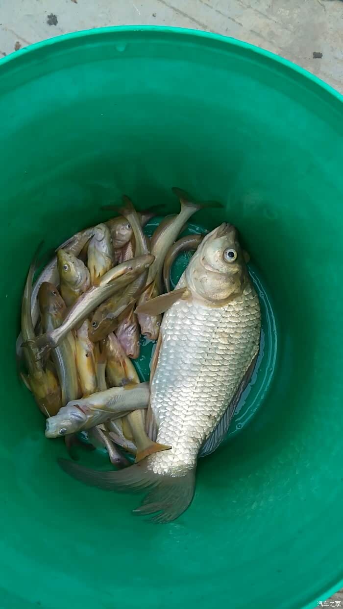 小浪底钓鱼之 忙里偷闲去钓鱼