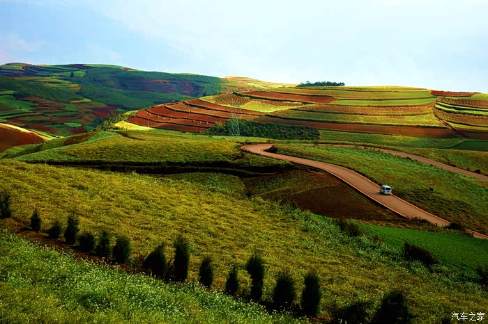 用铃木历十年光景.入小维启展新征程