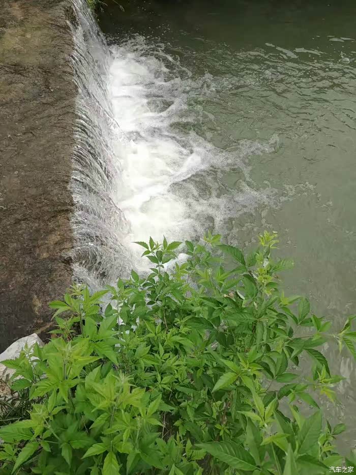 合东水库春意盎然