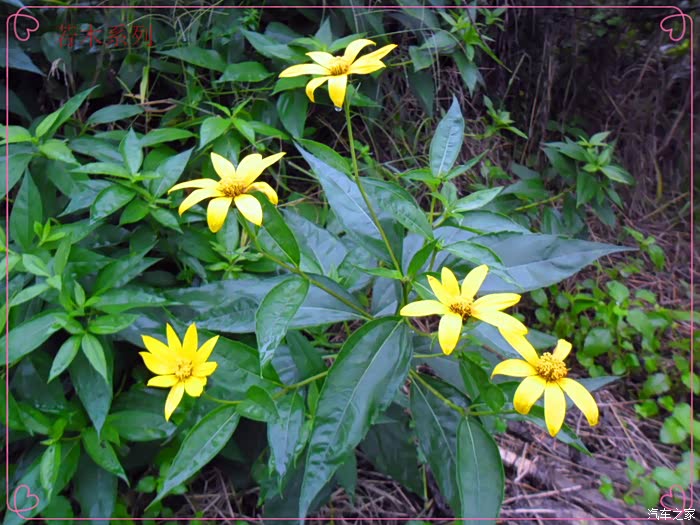 国庆七天乐若木苦并快乐着的国庆暴走记