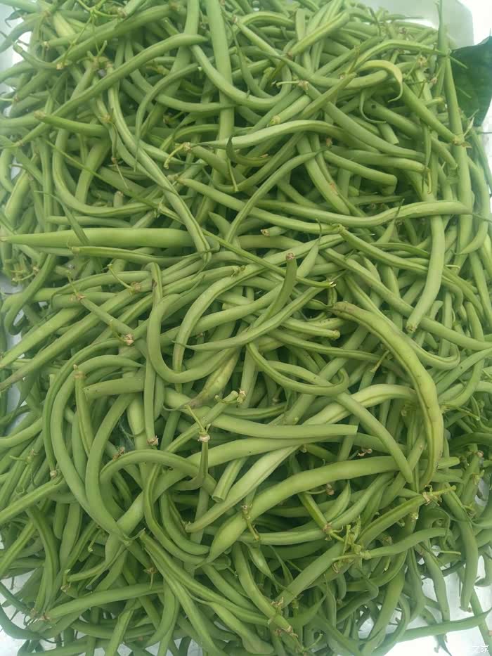 大东北特产各种豆角