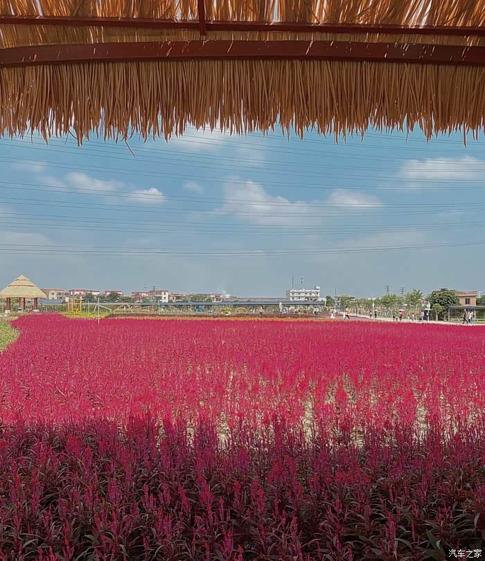 万物复苏送福利小鹏车主带你游阿农湾农耕文化园