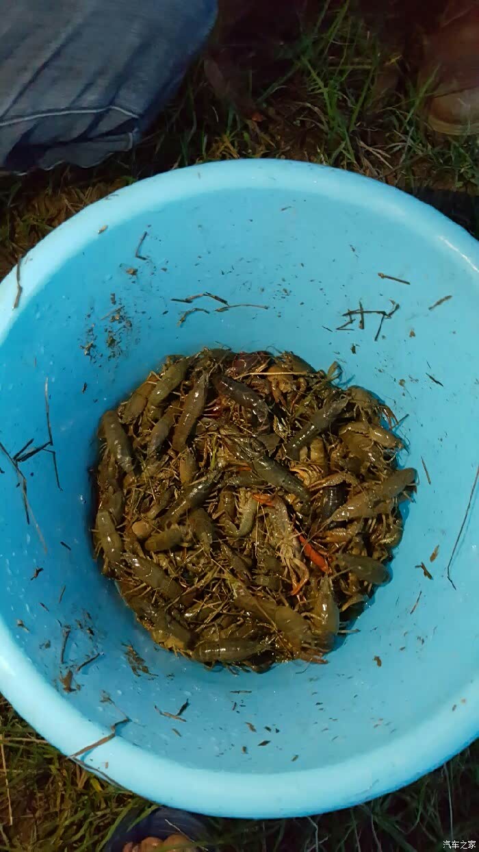 桂林几个车友一起抓小龙虾
