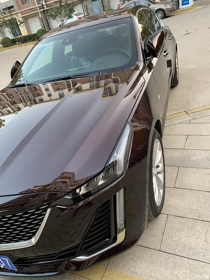 谁见过ct5的珊瑚紫