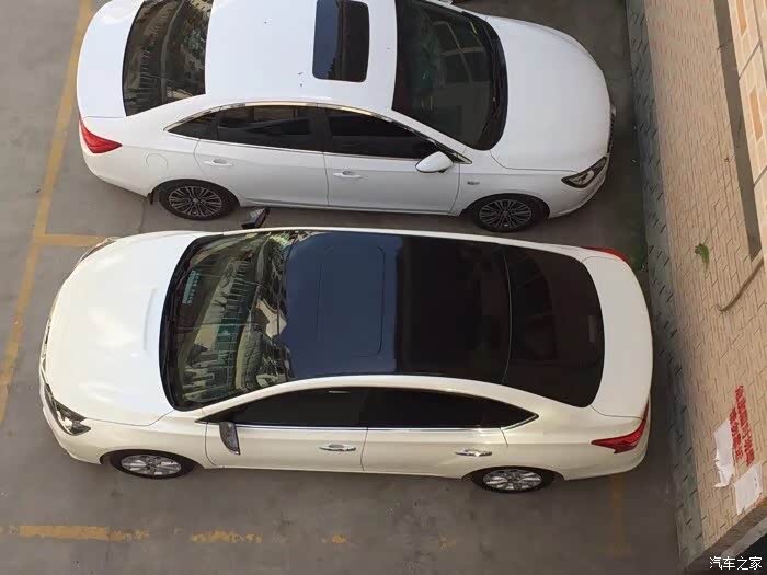 新款白色轩逸有人贴过黑顶吗