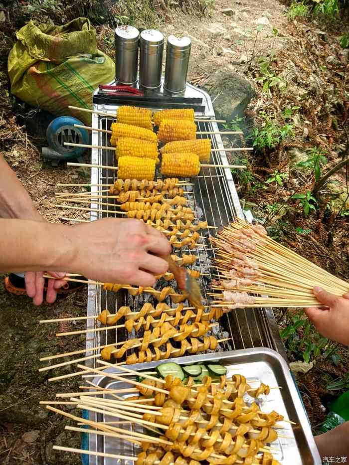 【活动报导】汽车之家黄冈车友会有山有水户外烧烤