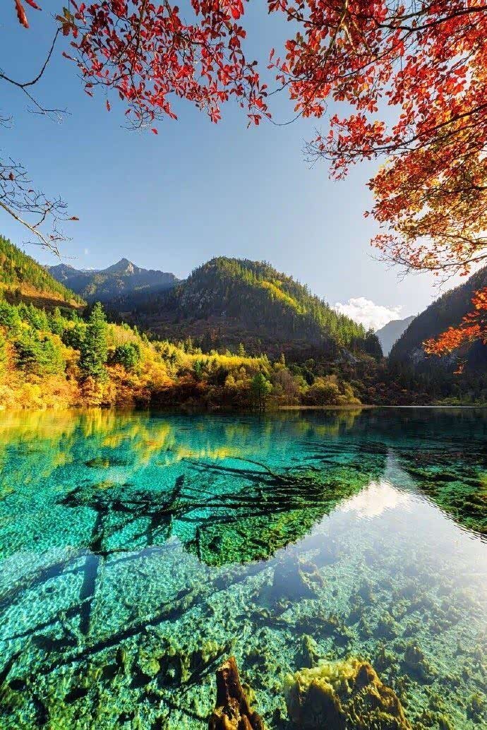 有一种秋叫九寨沟,五彩缤纷,风景如画.