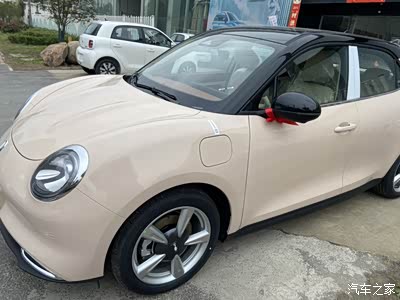 欧拉好猫米棕色-提车日记