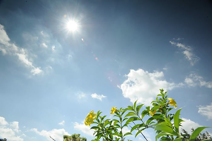 太陽當空照~花兒對我笑~小鳥說早早早~你為什麼背上炸藥包