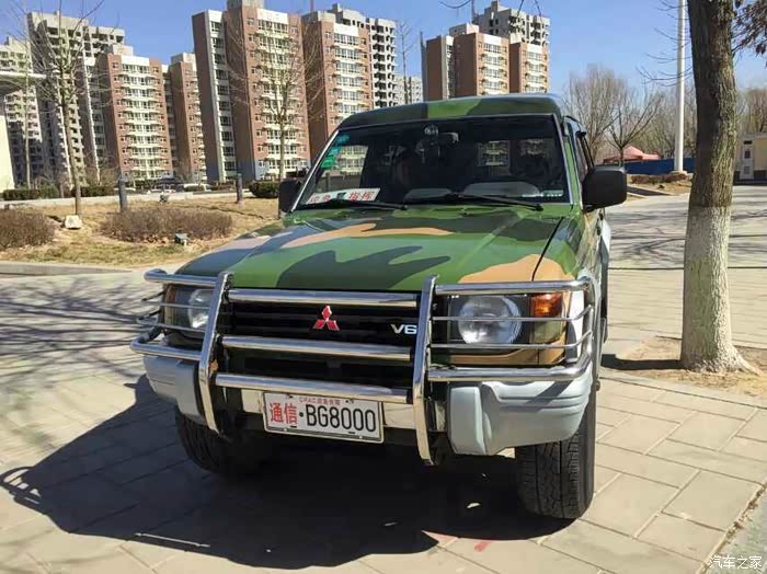 我的迷彩猎豹生活