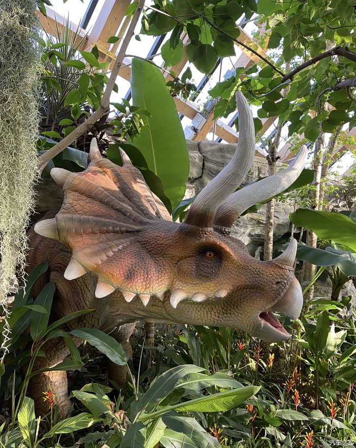 太原植物园里面的恐龙