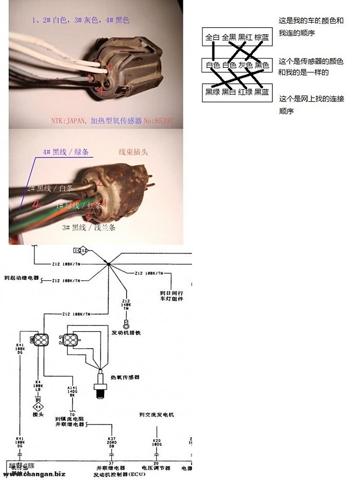 4线氧传感器接线图图片