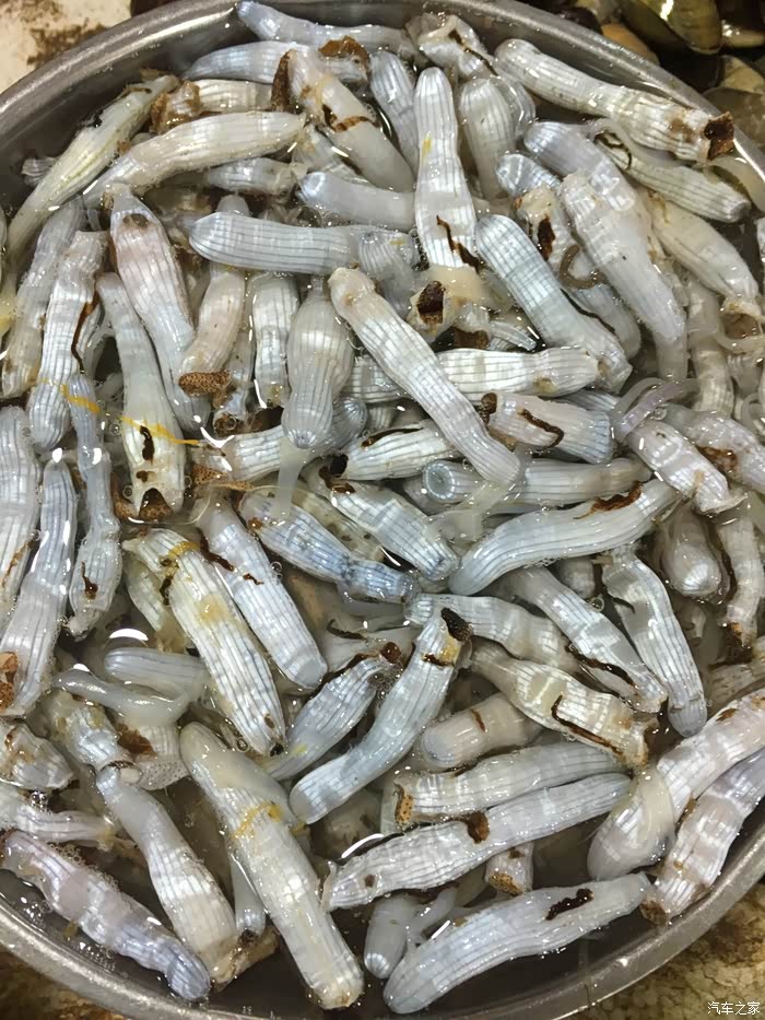 泥虫请护绿它样子味道流