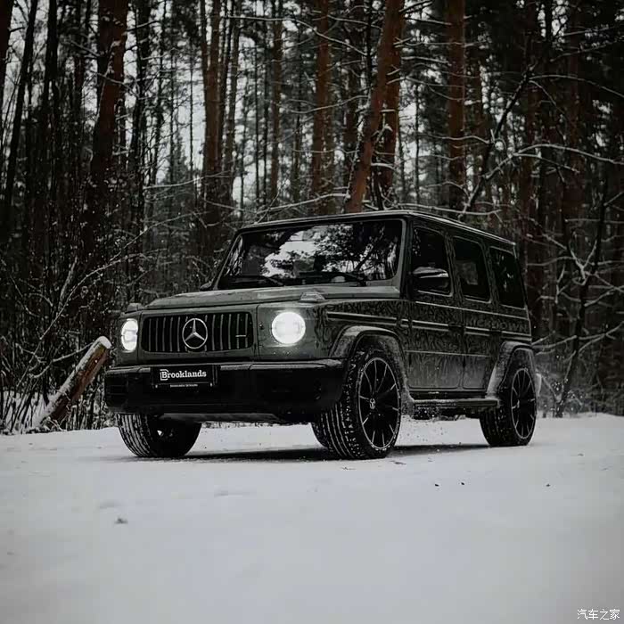 【图】听说雪地与大g更配哦_奔驰amg论坛_汽车之家论坛