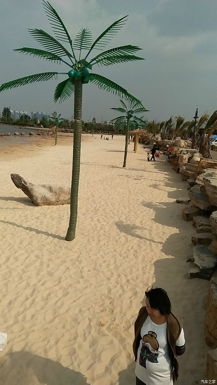 時間擠擠還是有的楚雄彝海公園遊記