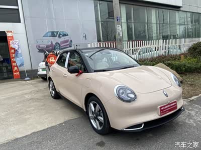 欧拉好猫米棕色-提车日记