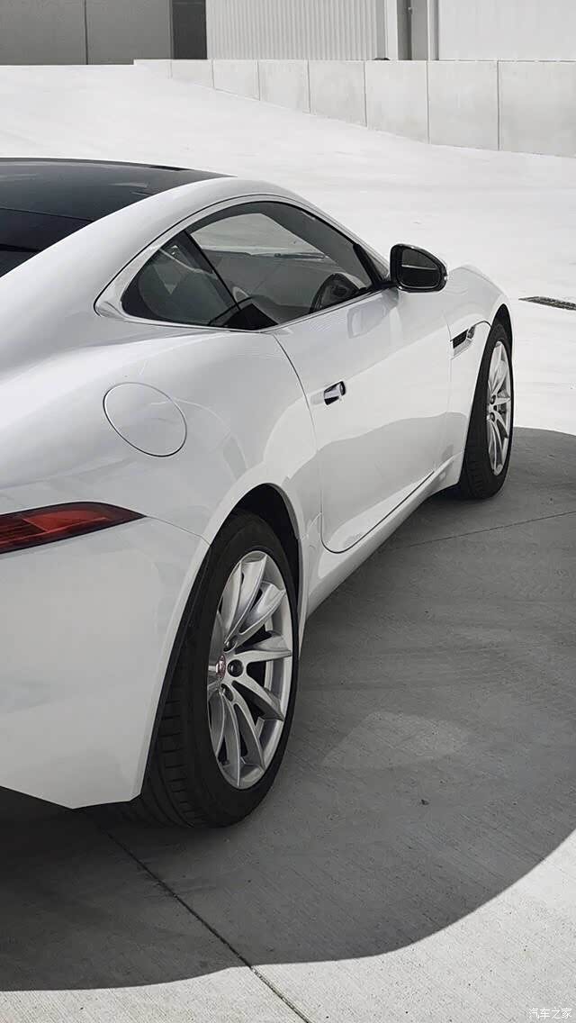 【图】收藏了很多豹子的图 想要吗_捷豹f-type论坛_汽车之家论坛