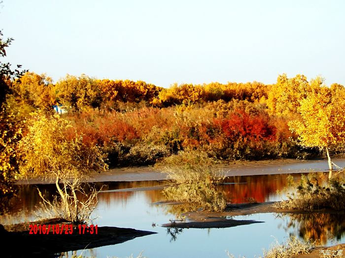 周末敦煌西湖湿地自然保护区看胡杨红柳
