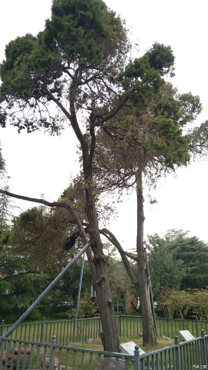 海马汽车伴我行路上皆双修海马福美来文武之旅