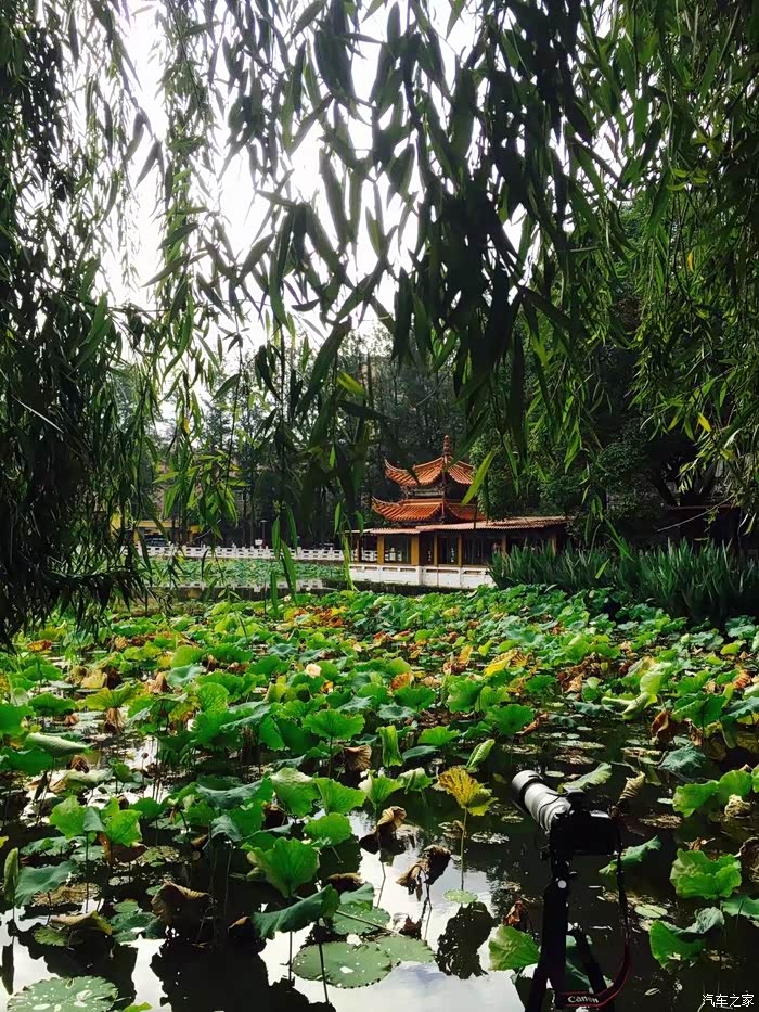 重庆快乐哥昆明翠湖公园漫步