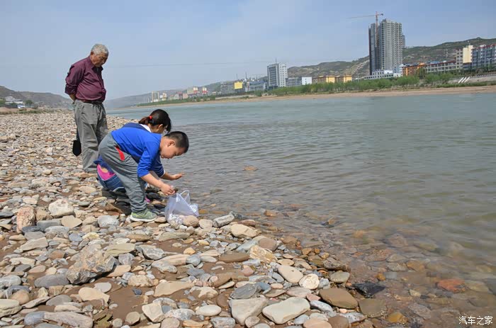 黄河捡石头