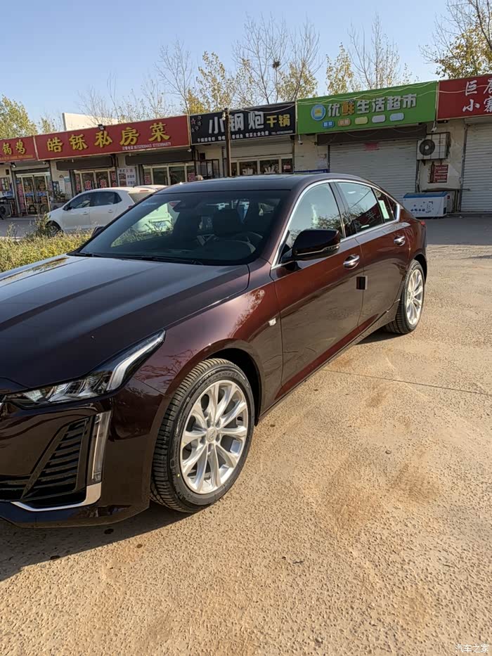 谁见过ct5的珊瑚紫