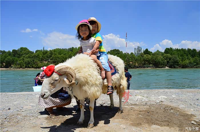 骑羊,呵呵,说实话我还没骑过,不过估计这头羊也不愿意让我骑