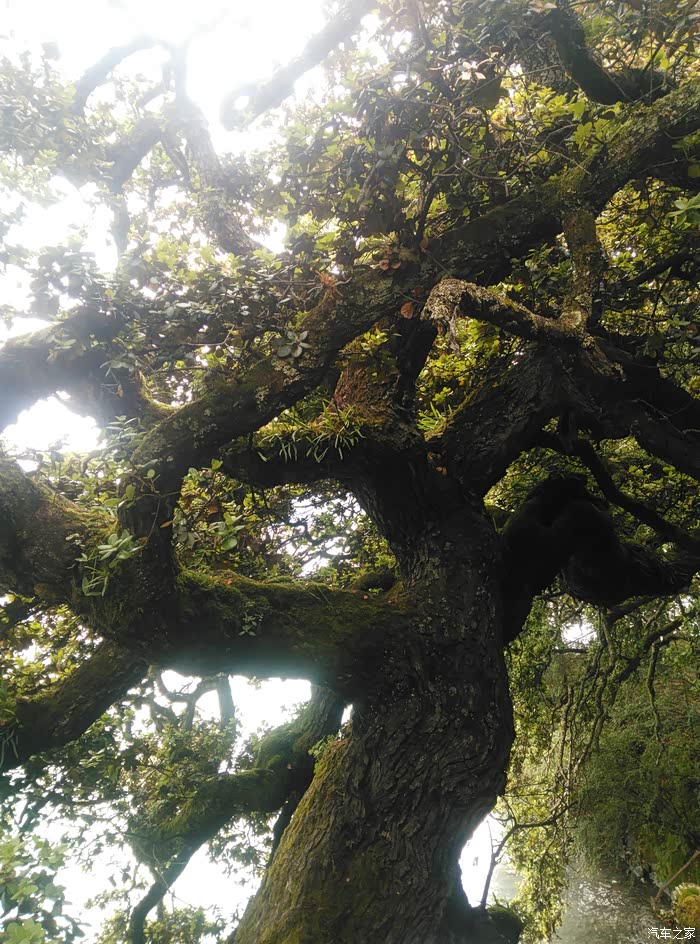 单车进藏--川进青出直抵珠峰大本营