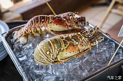 到龙虾湾了,那最不能错过的就是墨西哥本地大龙虾