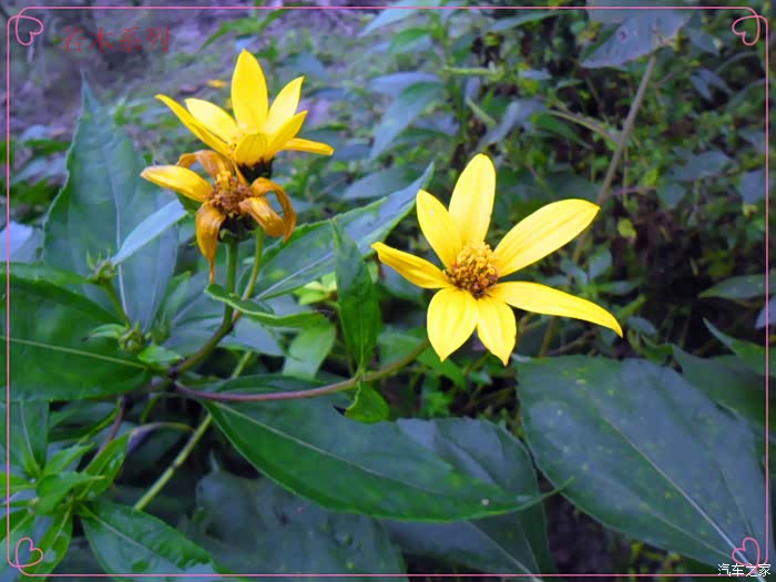 国庆七天乐若木苦并快乐着的国庆暴走记