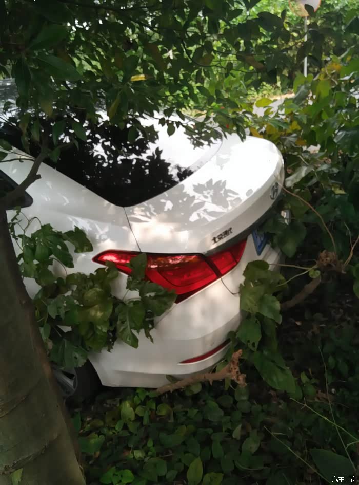 大神进来一下,蛮严重的撞.