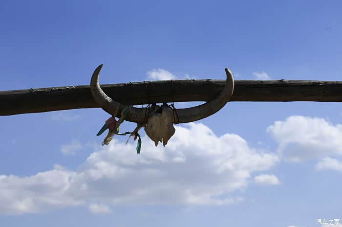 影视基地出口牧民自己拉起了小蒙古包,这是他们的门槛上的牛头!