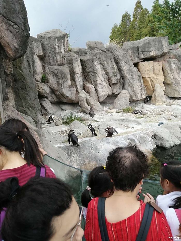 昆山出发自驾游上海野生动物园一