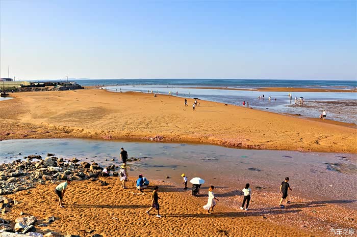 游客们在斜阳下的海滩上,投下长长的身影