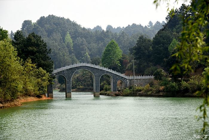 長順杜鵑湖水上看杜鵑